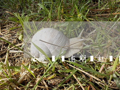 西瓜買單逾期會起訴嗎(西瓜買單不還)