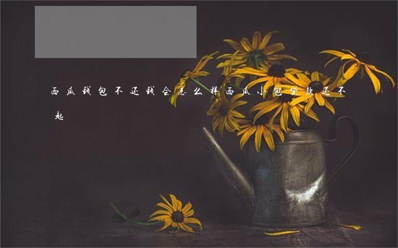 西瓜钱包不还钱会怎么样（西瓜小包贷款还不起）