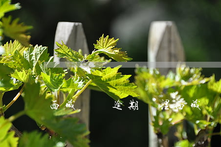西藏債務逾期處理(西藏債務逾期處理辦法)