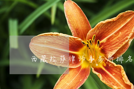 西藏拉萨律师事务所排名(西藏律师协会)