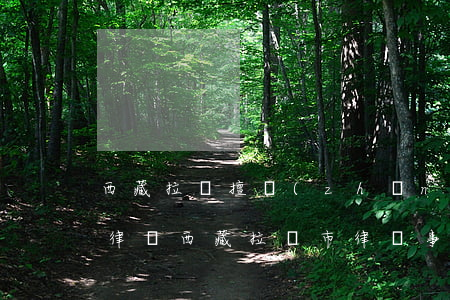 西藏拉薩擅長(zhǎng)債務(wù)律師(西藏拉薩市律師事務(wù)所)