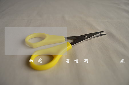 西藏車貸有逾期記錄還能買車嗎