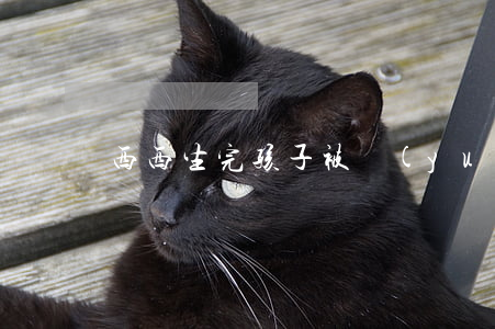 西西生完孩子被遠(yuǎn)峰騙離婚