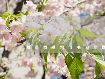西财图书馆借书逾期(西南交通大学图书馆借书超期)