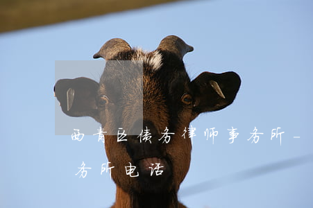 西青区债务律师事务所-西青区债务律师事务所电话