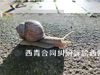 西青合同糾紛訴訟(西青法院電話咨詢)