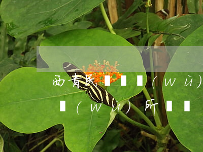 西青民間債務(wù)糾紛律師(西青律師事務(wù)所電話)