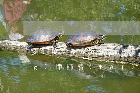 要3萬(wàn)債務(wù)請(qǐng)律師費(fèi)用(三萬(wàn)欠款請(qǐng)律師多少錢)