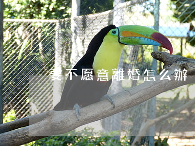 要不愿意離婚怎么辦