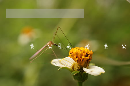 要債公司起訴借錢（要債公司起訴借錢）