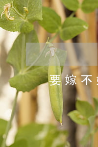 要嫁不嫁離婚男(嫁給寶媽男要不要離婚)