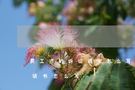 要工资的诉讼请求怎么写(向法院申请工资申请书怎么写)
