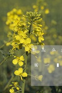 要怎么挽回一個(gè)男人的心(怎么能挽回一個(gè)男人的心)
