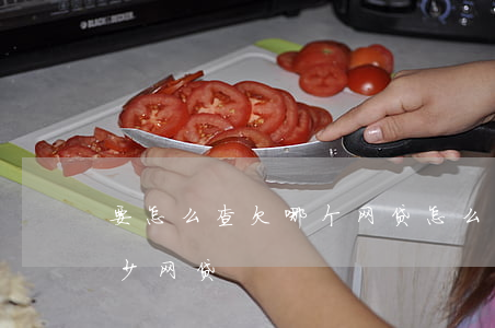 要怎么查欠哪个网贷(怎么查自己到底欠了多少网贷)