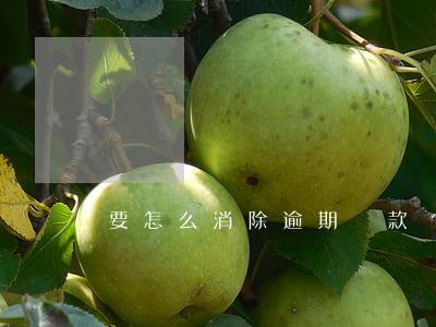 要怎么消除逾期還款記錄(怎么清逾期記錄)