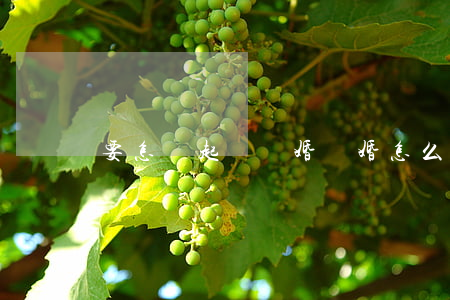 要怎樣起訴離婚(離婚怎么起訴)