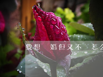 要想離婚但又不離怎么辦