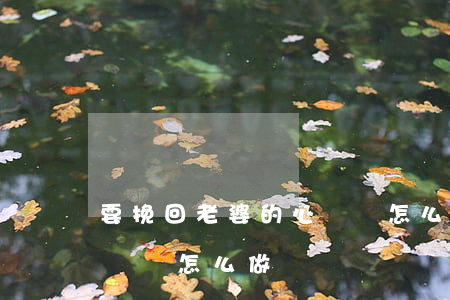 要挽回老婆的心應該怎么做(要挽回老婆的心應該怎么做)