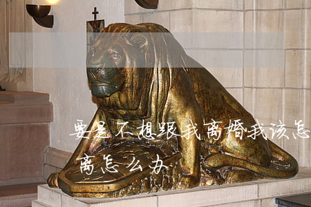 要是不想跟我离婚我该怎么办(我想离婚,他不离,怎么办)