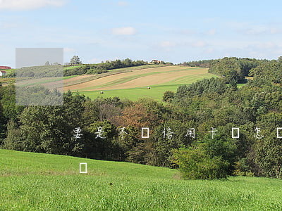 要是不還信用卡會怎樣(信用卡是不是可以不還)