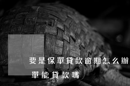 要是保單貸款逾期怎么辦(信用卡逾期后用保單能貸款嗎)