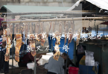 要是感情没有破裂也可以离婚吗(夫妻感情破裂又不离婚)