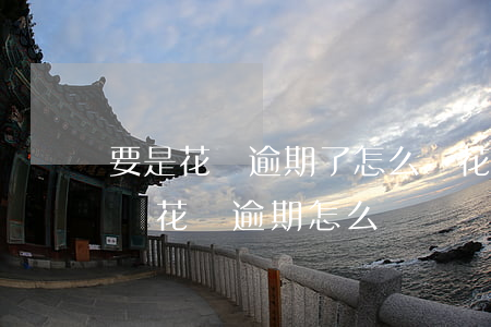 要是花唄逾期了怎么辦(花唄逾期多久會被起訴?花唄逾期怎么辦)