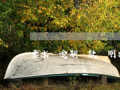 要求寫逾期還款說明(要求寫逾期還款說明)