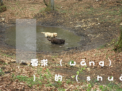 要求網(wǎng)貸起訴我 網(wǎng)貸的說(shuō)要起訴的可信嗎
