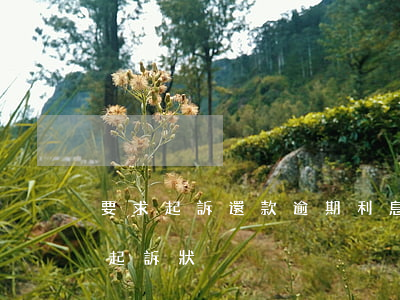 要求起訴還款逾期利息(要求支付逾期利息的起訴狀)