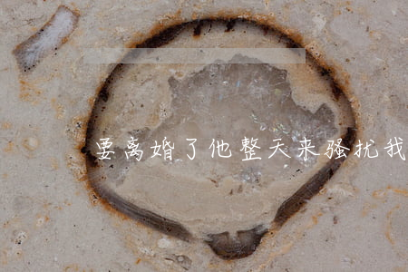 要离婚了他整天来骚扰我