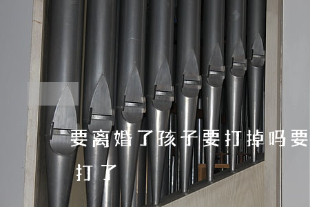 要离婚了孩子要打掉吗(要离婚该不该把孩子打了)