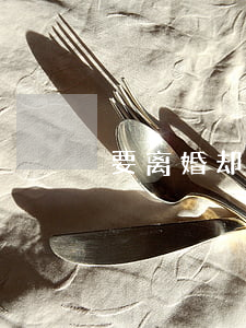 要离婚却舍不得(想离婚又舍不得这份感情)