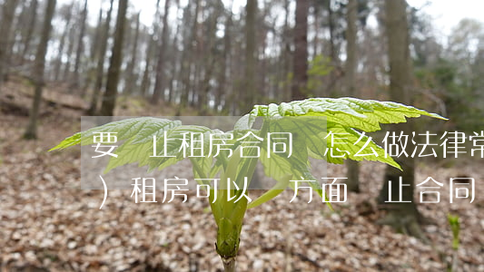 要終止租房合同該怎么做法律常識(shí)(租房可以單方面終止合同嗎)
