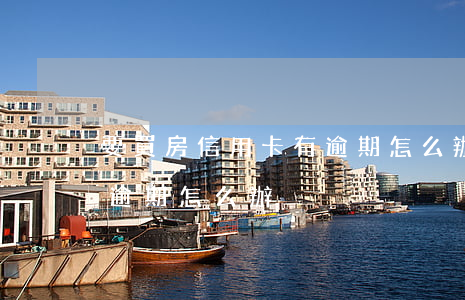 要買房信用卡有逾期怎么辦(買房時信用卡有逾期怎么辦)