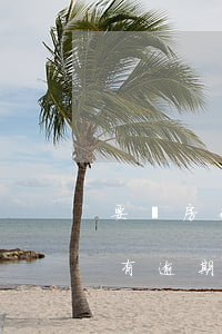 要買房征信有逾期可以辦按揭嗎(要買房征信有逾期可以辦按揭嗎)