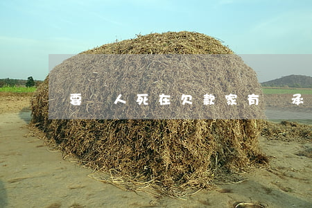 要賬人死在欠款家有誰承擔(dān)
