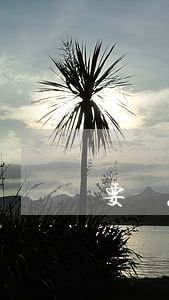 要賬怎么起訴(要帳起訴程序)