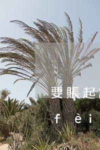 要賬起訴費(fèi)多少錢(討債起訴費(fèi)怎么收費(fèi))
