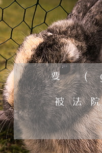 要購(gòu)買被法院查封的房屋可以嗎(被法院查封的二手房可以買嗎?)