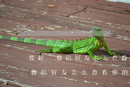 要起訴微信好友怎么查看他的信息-要起訴微信好友怎么查看他的信息呢