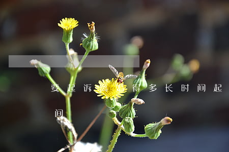 要起诉离婚得多长时间(起诉离婚需要多长时间)