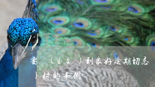 要達(dá)到良好逾期切忌應(yīng)付的事例-