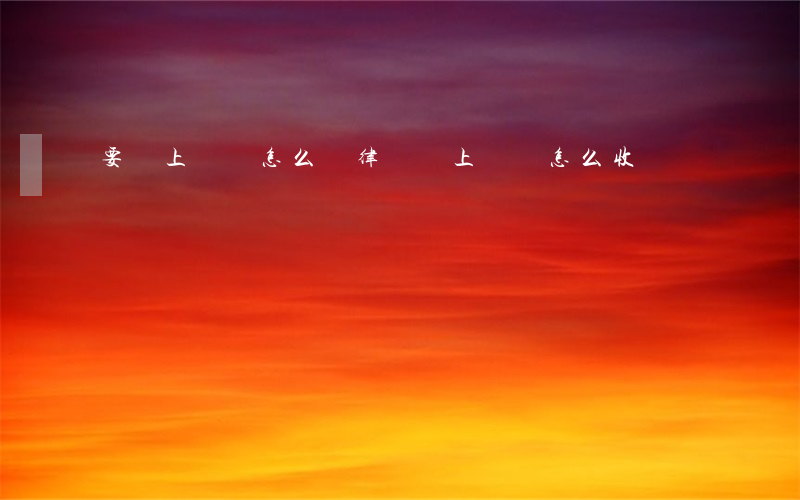 要錢上訴書怎么寫(律師寫上訴狀怎么收費)
