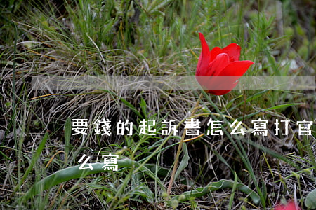 要錢的起訴書怎么寫(打官司要錢的起訴書怎么寫)