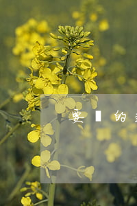 要錢的起訴書怎么寫(要錢訴訟請求范文)