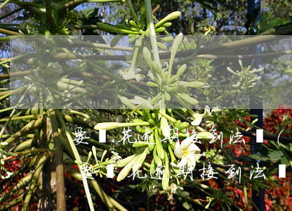 要錢花逾期接到法務(wù)通知怎么辦-要錢花逾期接到法務(wù)通知怎么辦呢