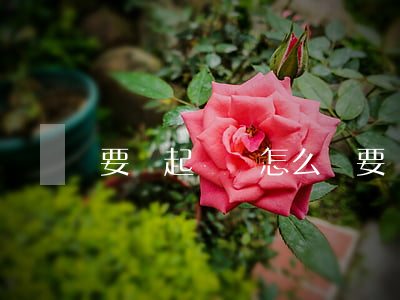 要錢起訴書怎么寫(要錢起訴狀)