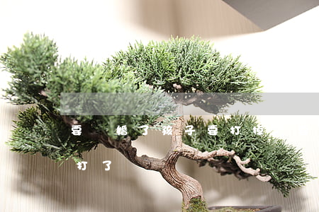 要離婚了孩子要打掉嗎(要離婚該不該把孩子打了)
