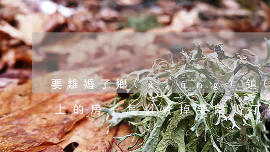 要離婚了鄉(xiāng)鎮(zhèn)上的房子怎么賣掉(要離婚了鄉(xiāng)鎮(zhèn)上的房子怎么賣掉)